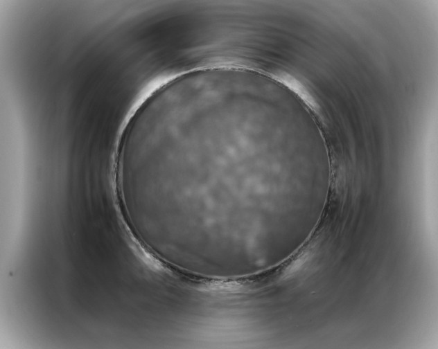 X0000087371094200704271450