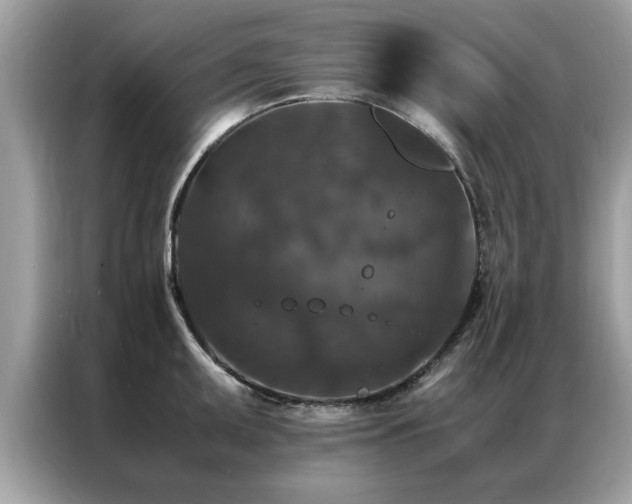 X0000087371095200704271450
