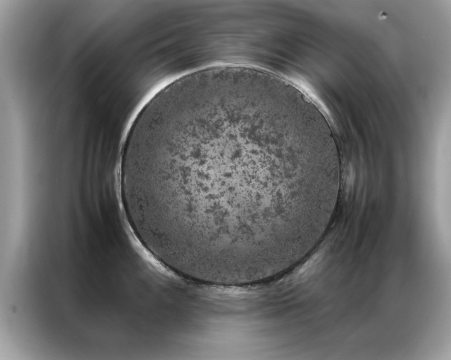 X0000087371100200704271450