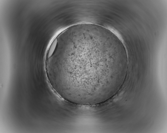 X0000087371104200704271450