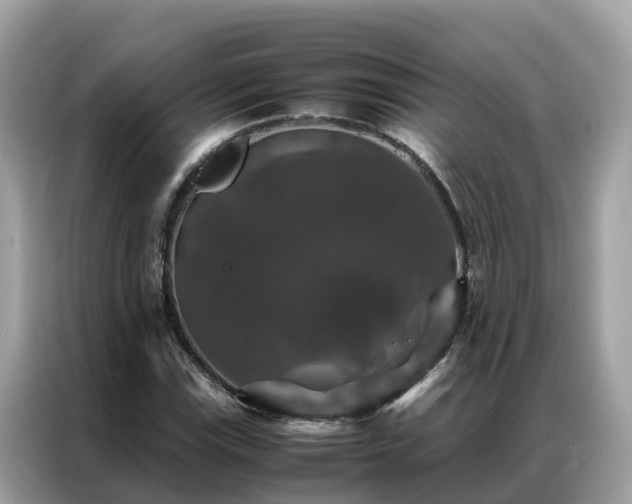 X0000087371115200704271450