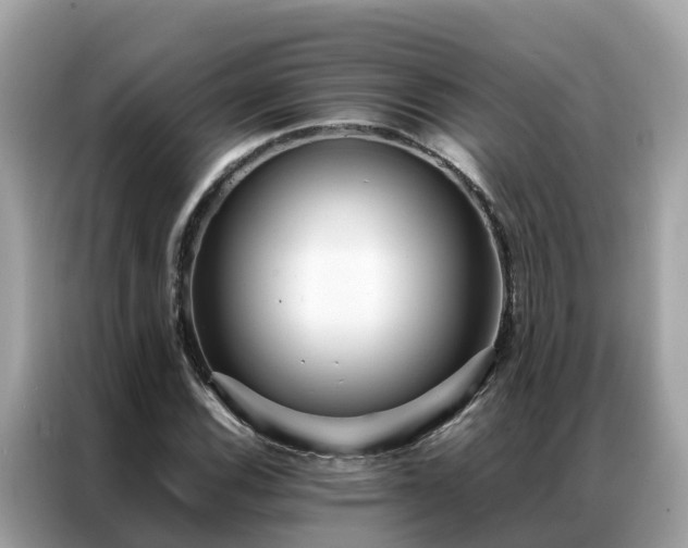X0000087371116200704271450
