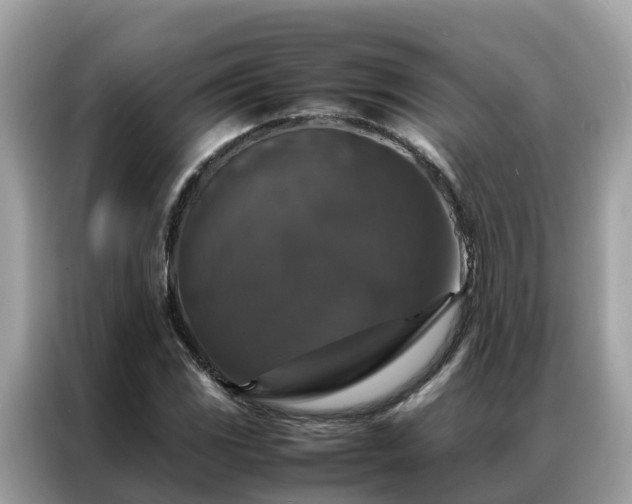 X0000087371117200704271450