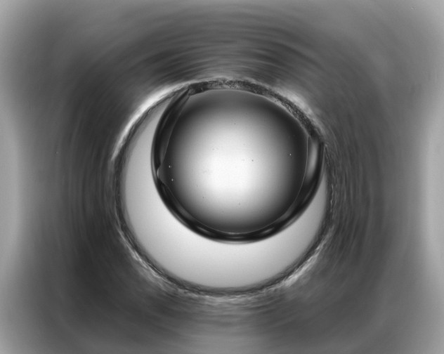 X0000087371118200704271450