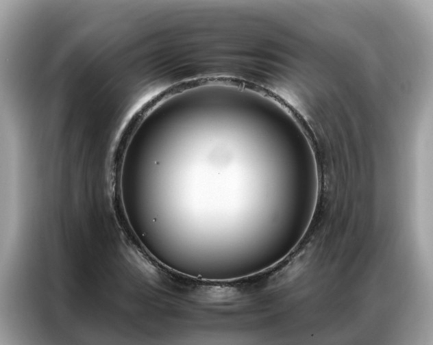 X0000087371119200704271450