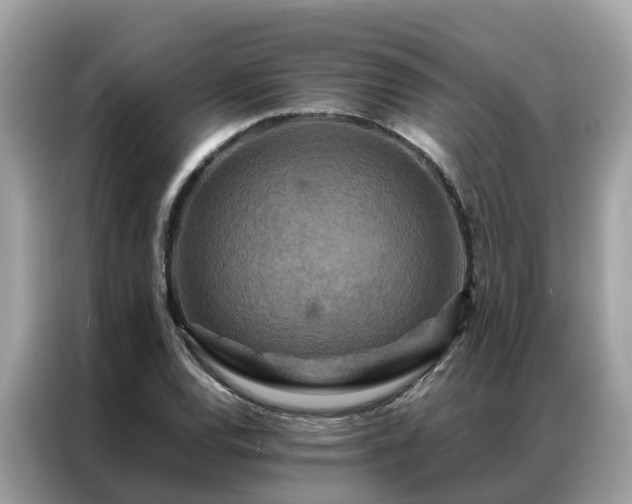 X0000087371120200704271450