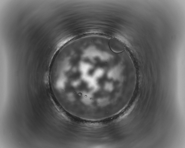X0000087371121200704271450