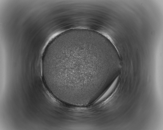X0000087371123200704271450
