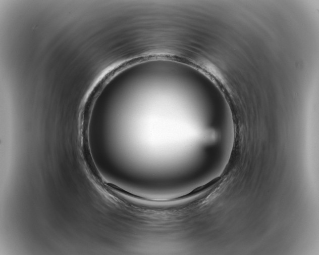 X0000087371124200704271450