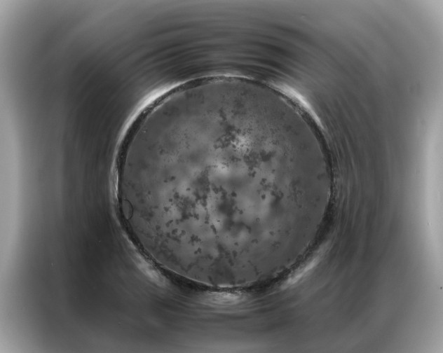 X0000087371125200704271450