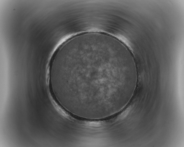 X0000087371126200704271450