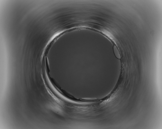 X0000087371127200704271450