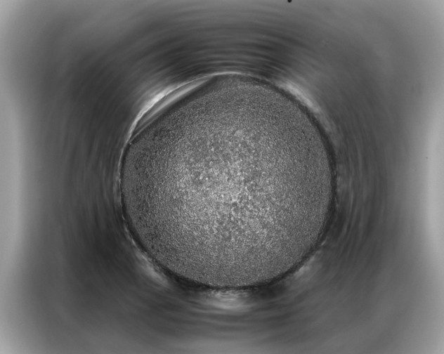 X0000087371129200704271450