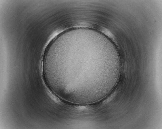 X0000087371130200704271450