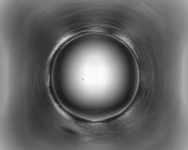 X0000087371131200704271450