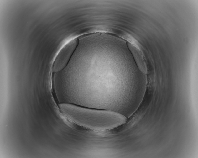 X0000087371132200704271450