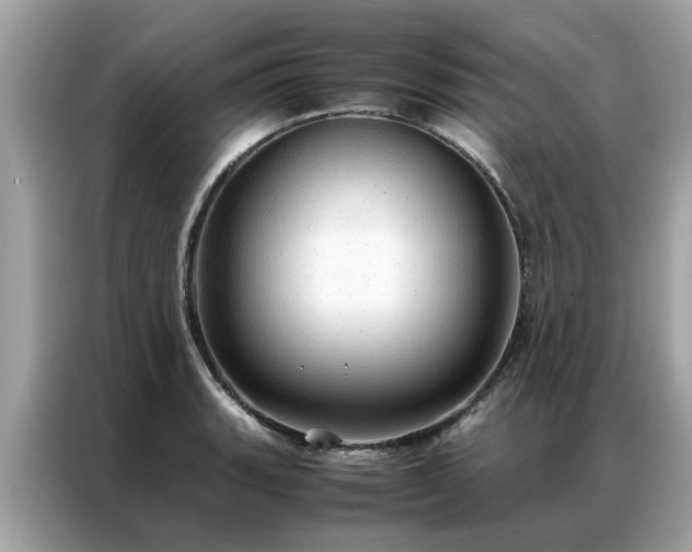 X0000087371135200704271450