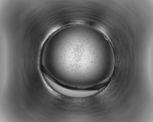 X0000087371139200704271450