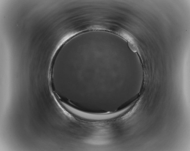 X0000087371141200704271450