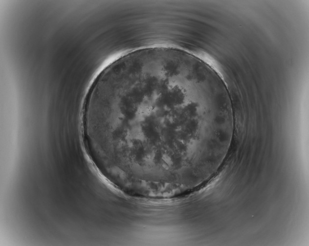 X0000087371142200704271450