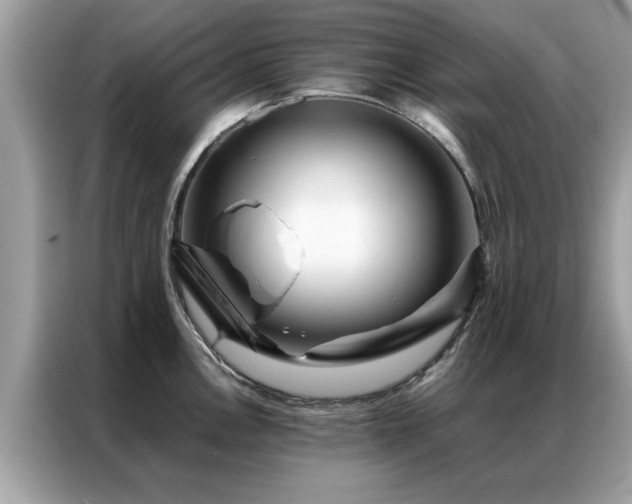 X0000087371146200704271450