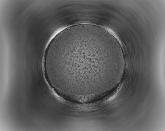 X0000087371149200704271450