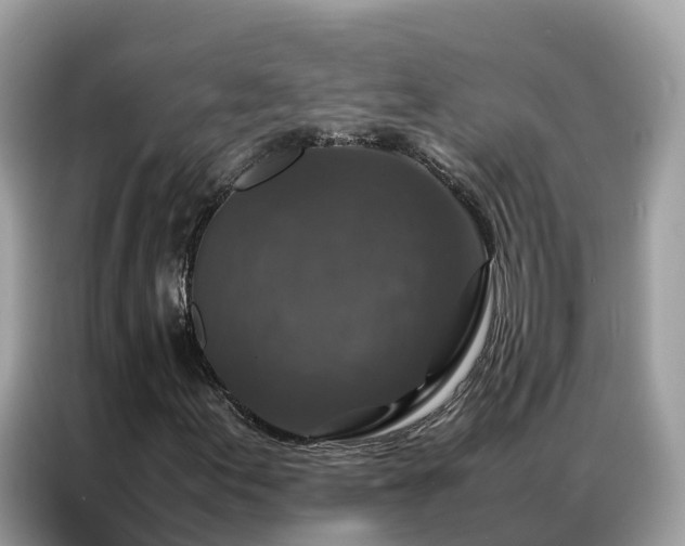 X0000087371155200704271450