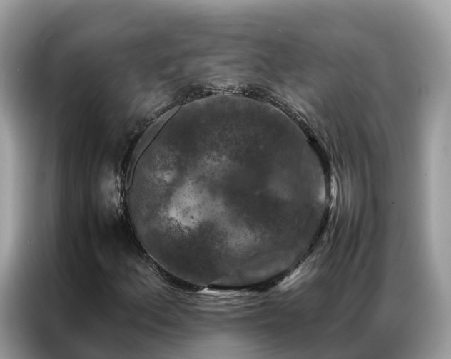 X0000087371156200704271450
