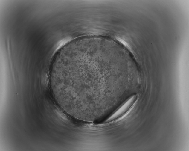 X0000087371163200704271450