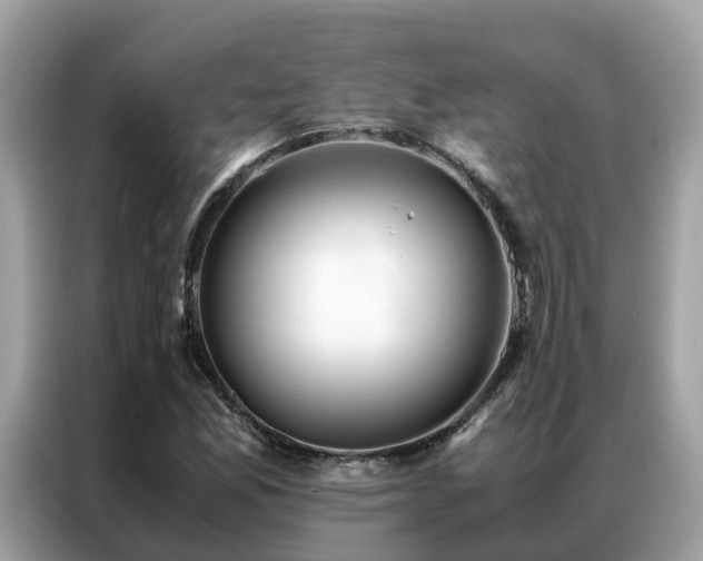 X0000087371165200704271450