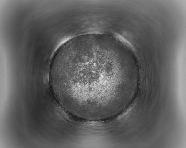X0000087371166200704271450