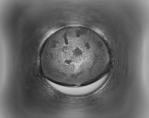 X0000087371167200704271450