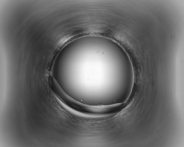 X0000087371169200704271450