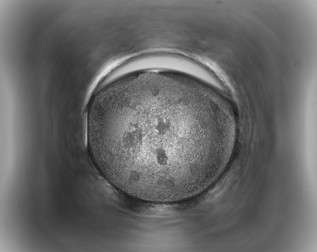 X0000087371175200704271450