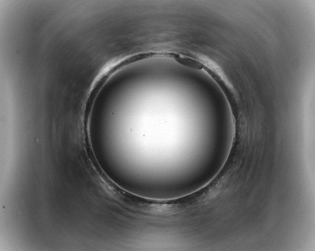 X0000087371176200704271449