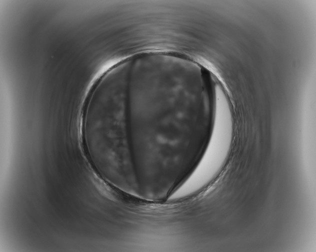 X0000087371179200704271449