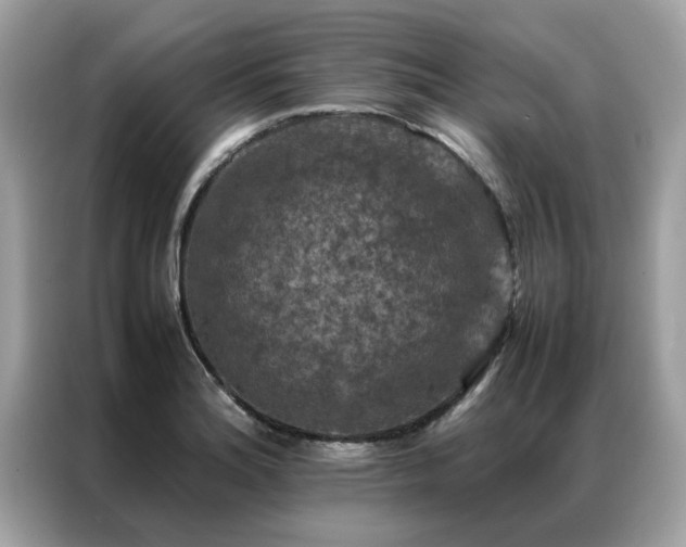X0000087371180200704271449