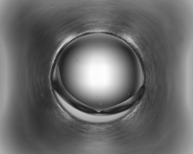 X0000087371181200704271449