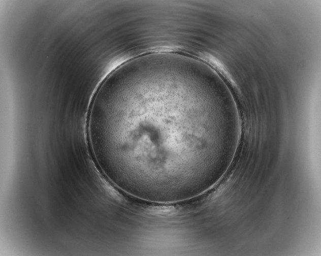 X0000087371186200704271449