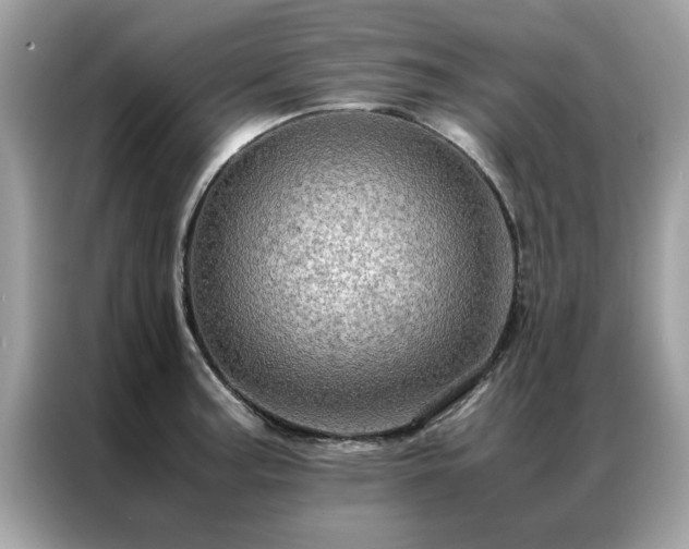 X0000087371187200704271449