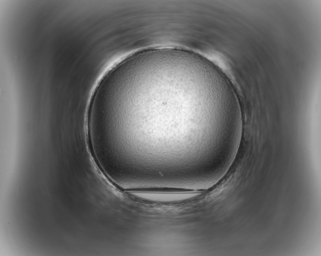 X0000087371191200704271449