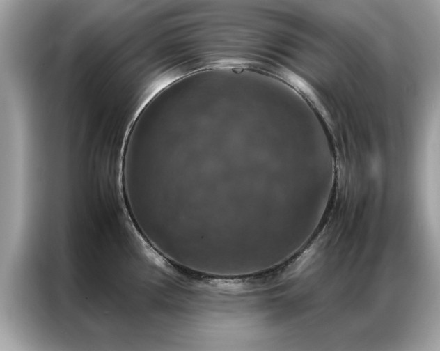 X0000087371194200704271449