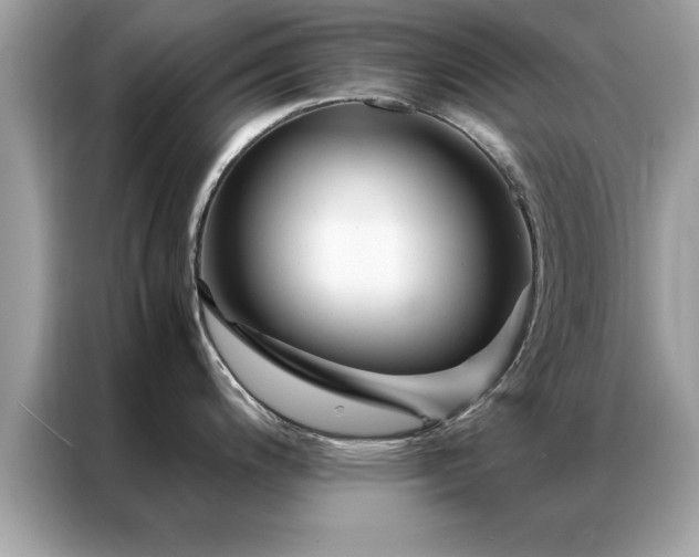 X0000087371200200704271449