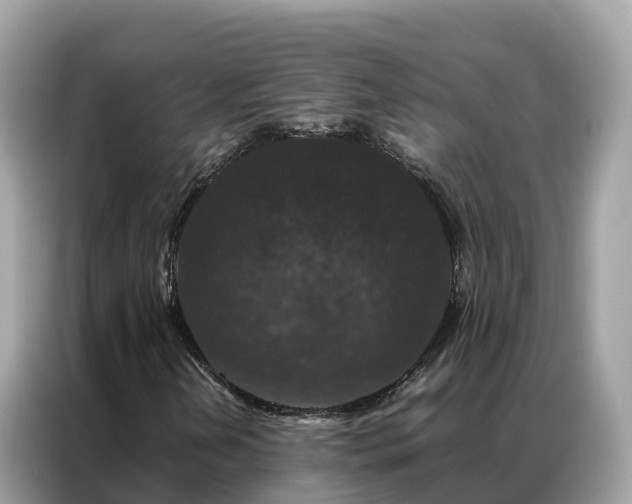 X0000087371202200704271449
