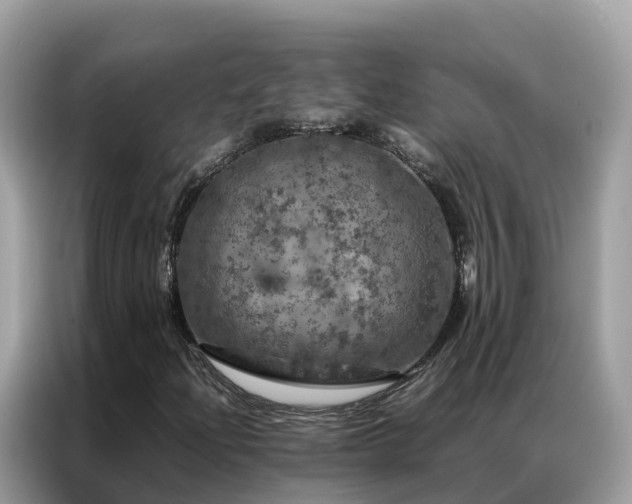 X0000087371204200704271449