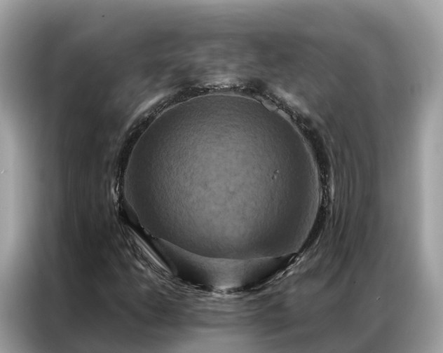 X0000087371206200704271449