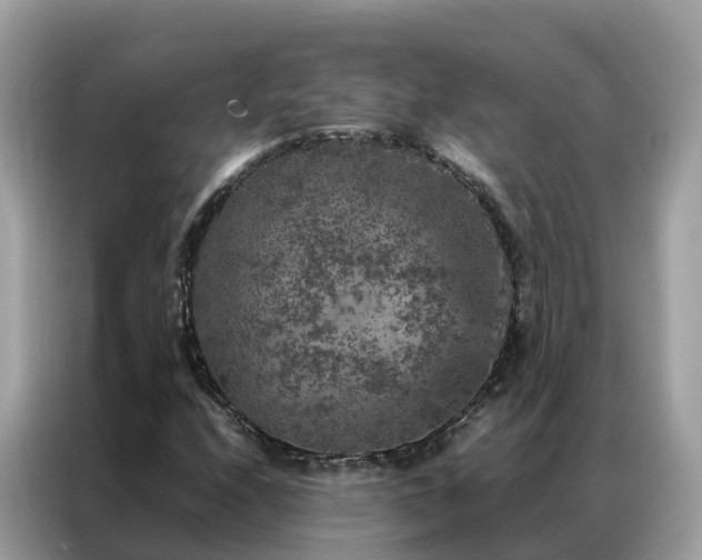X0000087371208200704271449