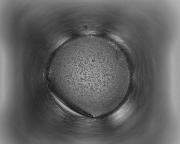 X0000087371209200704271449