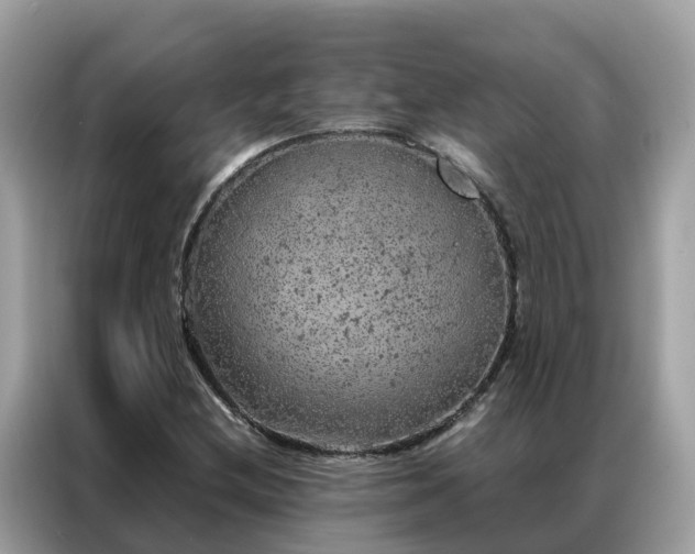 X0000087371212200704271449