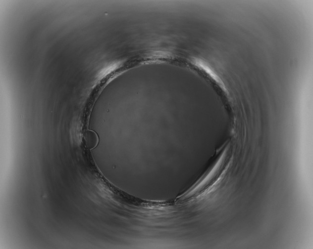 X0000087371213200704271449